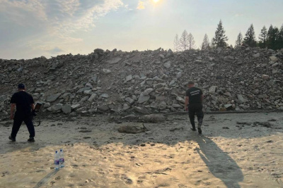 В Якутии проводят проверку по факту гибели домашних оленей в старательских отработках / Анастасия Филиппова   Республика Саха (Якутия)