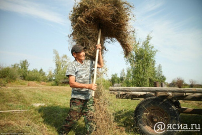 В Якутии будут задействованы порядка 160 мобильных бригад по заготовке сена / Мария Архипова   Республика Саха (Якутия)