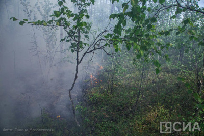 В Якутии ведутся работы по тушению 37 лесных пожаров / ЯСИА   Республика Саха (Якутия)