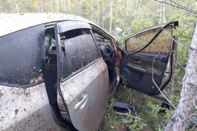 В Якутии автомобиль врезался в лошадь. Пострадали два человека / ЯСИА   Республика Саха (Якутия)