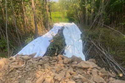 В Алдане активно ведутся работы по благоустройству экопарка «Орто-Сала» / ЯСИА   