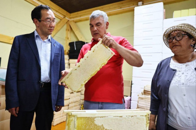 Хозяйство якутян Ионовых планирует стать племенным репродуктором республики по пчеловодству / ЯСИА   