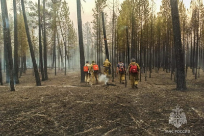 В Якутии свыше 1500 человек задействованы в тушении лесных пожаров / ЯСИА   Республика Саха (Якутия)