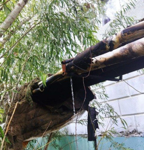 В Якутске задержан серийный поджигатель / Нарыйа Пахомова Якутск Якутск Республика Саха (Якутия)