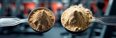 Чем протеин отличается от гейнера