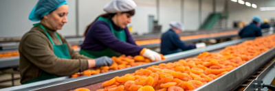 Роскачество очищает рынок сухофруктов /    