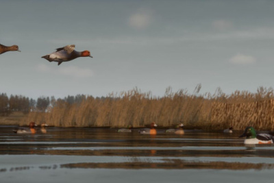 Создатели BULT рассказали новые подробности об игре / ЯСИА   Республика Саха (Якутия)