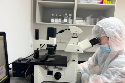 В лаборатории СВФУ попытаются клонировать корову якутской породы / ЯСИА   