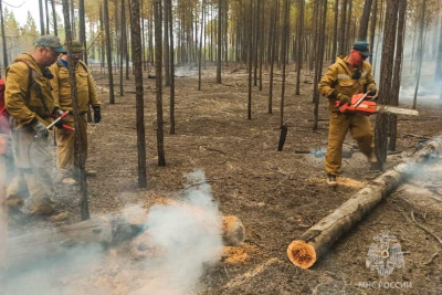 Более чем в три раза сокращена площадь пожаров в Якутии за сутки / ЯСИА   Республика Саха (Якутия)