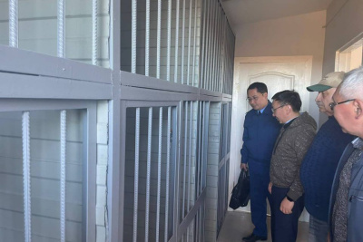 Приют для безнадзорных животных построили в Анабарском районе / ЯСИА   