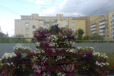 Часть цветочных клумб уберут с проспекта Ленина в Якутске после обращений горожан / ЯСИА Якутск Якутск Республика Саха (Якутия)