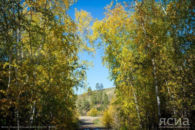 За сутки в Якутии не обнаружили новых лесных пожаров / Анастасия Филиппова   Республика Саха (Якутия)
