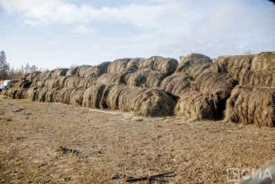В Минсельхозе Якутии рассказали о подготовке к зиме / ЯСИА   