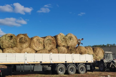 Минсельхоз доставит недостающие корма пострадавшим от паводка районам / Нарыйа Пахомова   