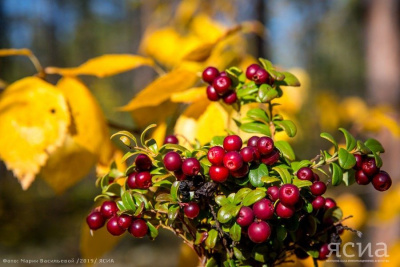 Народные приметы на 5 сентября 2023 года: что нельзя делать в этот день / ЯСИА   