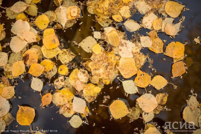 Народные приметы на 8 сентября: что нельзя делать в этот день / ЯСИА   