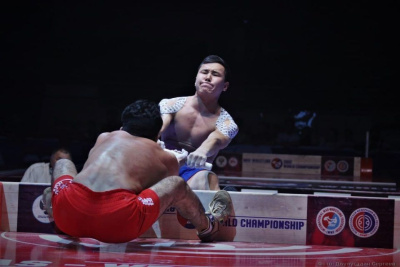 Инфографика: победители всех чемпионатов мира по мас-рестлингу / Дьулустаан Сергеев   