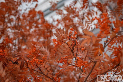 Анна и Савва Скирдники 10 сентября 2023 года: история, запреты и приметы праздника / ЯСИА   