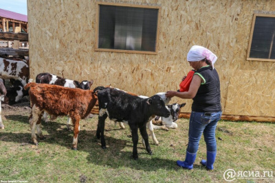 В сельском хозяйстве Якутии руководящие должности занимают 159 женщин / ЯСИА   