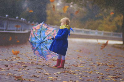 Внимание: дождь, снег и ветер /    