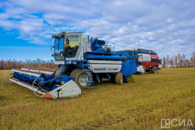 Научные разработки внедряют в сельхозпроизводство в Якутии / ЯСИА   Республика Саха (Якутия)