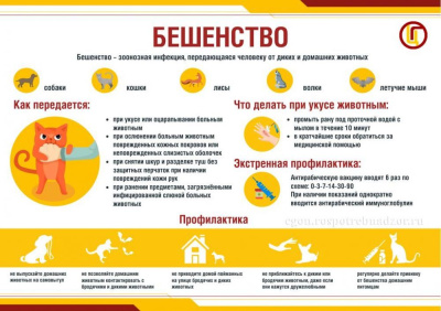 Всемирный день борьбы с бешенством - 28 сентября /    