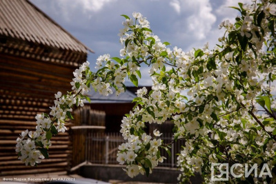 Проект «Старый город – 2» обсудят в Якутске на фестивале архитектуры «Эйгэ» / ЯСИА Якутск Якутск Республика Саха (Якутия)