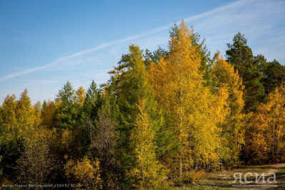 В Томпонском районе Якутии вывезли мусор с несанкционированных свалок / ЯСИА   