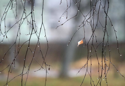 В субботу - сильный ветер /    