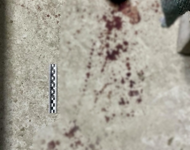 В городе Якутске взят под стражу мужчина, обвиняемый в убийстве /    