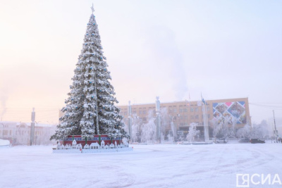 Установка главной елки на площади Республики в Якутске начнется 5 ноября / ЯСИА Якутск Якутск Республика Саха (Якутия)