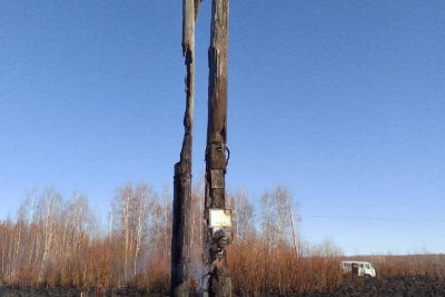 В Горном районе из-за несанкционированного сельхозпала пострадали опоры ЛЭП / ЯСИА   