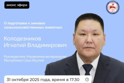 Руководитель управления ветеринарии Якутии ответит на вопросы в прямом эфире соцсетей / ЯСИА   