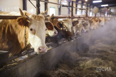 В Якутии идет масштабное строительство объектов малых мощностей в сельском хозяйстве / ЯСИА   