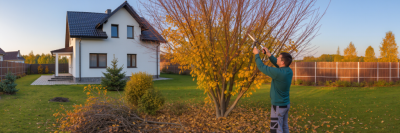 Как и зачем обрезать плодовые деревья и ягодные кустарники?