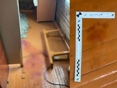 В Нюрбинском районе взят под стражу местный житель,  подозреваемый в совершении убийства брата /    