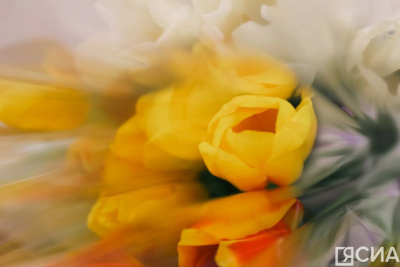 Бывшие, смартфоны и скупость: главные ошибки на первом свидании, по мнению россиян / ЯСИА   