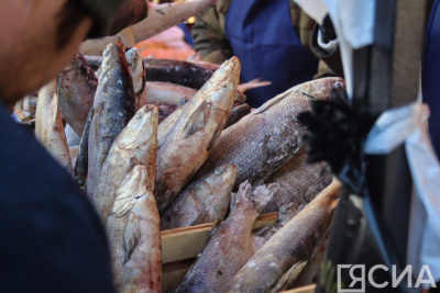 На ярмарке «Рыба Якутии» реализовали более 20 тонн продукции / ЯСИА   