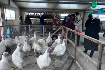 Новая птицеводческая ферма появилась в селе Нуорагана Мегино-Кангаласского района / ЯСИА   