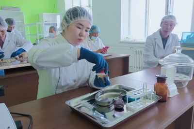 Правительство РФ установило премии для победителей чемпионатов «Профессионалы» и высоких технологий / ЯСИА   