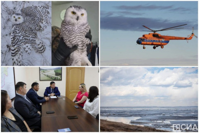 Что произошло в Якутии 30 октября: обзор событий за день / ЯСИА   Республика Саха (Якутия)