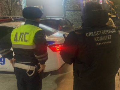 Организована доследственная проверка по факту применения  насилия в отношении представителей власти /    