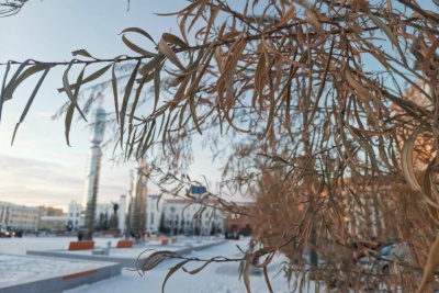Почему в Якутске деревья не сбросили листву к зиме, объяснил ученый / Нарыйа Пахомова Якутск Якутск Республика Саха (Якутия)