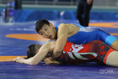 Определены финалисты всероссийского турнира по вольной борьбе Александра Крылова / Дьулустаан Сергеев   