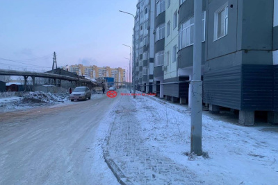 Водитель в Якутске насмерть сбил собаку и скрылся с места происшествия / ЯСИА Якутск Якутск Республика Саха (Якутия)