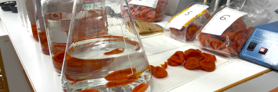 Моем курагу: можно ли смыть диоксид серы с сухофруктов?