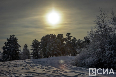 Около двух тонн батареек сдали якутяне в рамках экологической акции / ЯСИА   