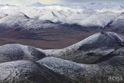 20 ноября начнется Большой Дальневосточный квест / ЯСИА   