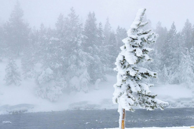 К четвергу ветер усиливается /    