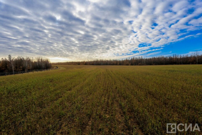 Якутия стала лидером выдачи «дальневосточных гектаров» / ЯСИА   